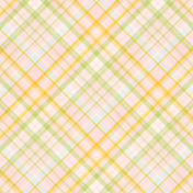 Old Fashioned Summer Plaid Paper 12