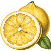 Old Fashioned Summer Sticker lemon