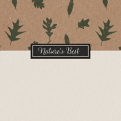 Wildwood Thicket Nature's Best 4x4 Journal Card