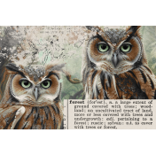 Wildwood Thicket Owls 4x6 Journal Card