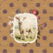 Charlotte's Farm Lamb 4x4 Journal Card