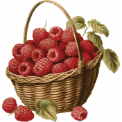 Charlotte's Farm Mini basket raspberries