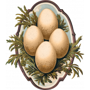 Charlotte's Farm Eggs 2