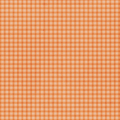 Lakeside Autumn Orange Gingham Paper