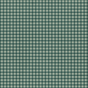 Lakeside Autumn Teal Gingham Paper