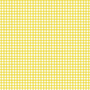 Orchard Road Gingham Paper