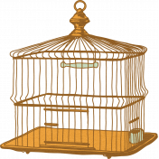 Feathers And Fur Element birdcage