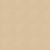 Feathers And Fur Extra Paper polkadot beige