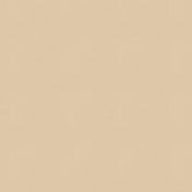 Feathers And Fur Solid Paper beige