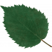 Simply Sweet Element leaf green