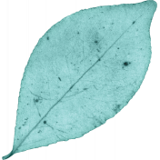 Simply Sweet Element leaf teal