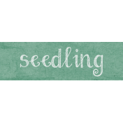 Spring Garden Seedling Word Art