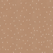 Dandy Dandelions Brown Dandelion Seeds Paper
