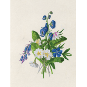 Meadow Flower Ephemera 2