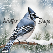 Winter Woods Blue Jay 4x4 Journal Card
