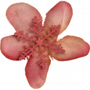 Winter Woods Red Flower 3