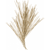 Evergreen pine needles gold