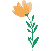 Countryside Yellow Flower Illustration 