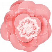 Spring for Coffee Pink Flower
