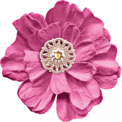 Berry Sweet Bee Pink Flower