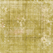 Blooms Mixed Media Mini Olive Green Plaid Paper Blooms Mixed Media Mini Olive Green Plaid Paper