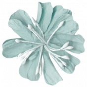 Flower Teal