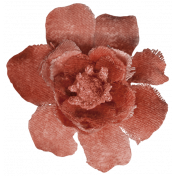 Velvet Flower3