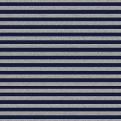 My Life Palette- Navy and Silver Stripe Paper