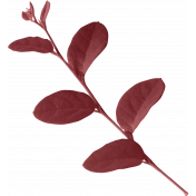 My Life Palette- Leafy Branch (Burgundy)