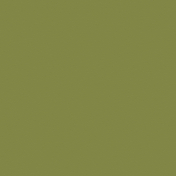 Wild & Free Olive Green Textured Paper