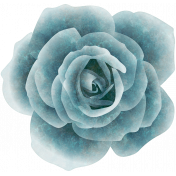 Mind Garden_Blue Rose