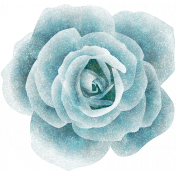 Mind Garden_Blue Sparkle rose