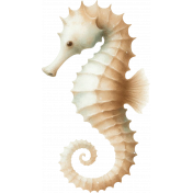 Beach Daze Seahorse 1