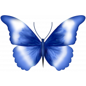 Butterfly 3