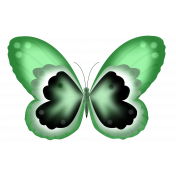 Butterfly 5