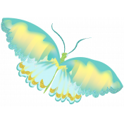 Blue Gold Butterfly