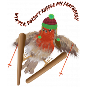 Ski Robin Element