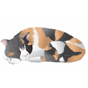 Sleeping Calico Cat