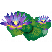 Water Lilies Element