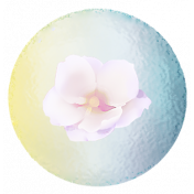 Tranquility Flower Blossom Bubble 1 Element