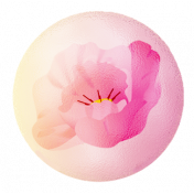 Tranquility Flower Blossom Bubble 2 Element