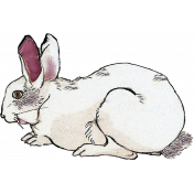 Vintage Winter White Rabbit Element