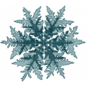 Vintage Winter Snowflake 2 Element