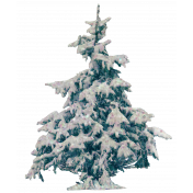 Vintage Winter Snow Covered Fir Tree Element