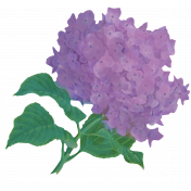 Just For Fun Flowering Hydrangea Element