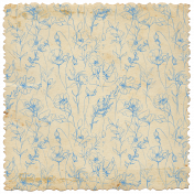 Delicate Poppy Floral Distressed Paper B
