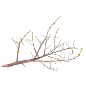 Just for fun Twig with Pearls Element