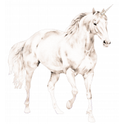 Believe Galloping Unicorn Element