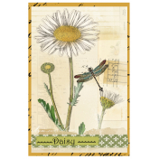 Journal Card Daisy