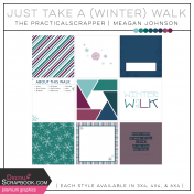 Just Take a (Winter) Walk Kit